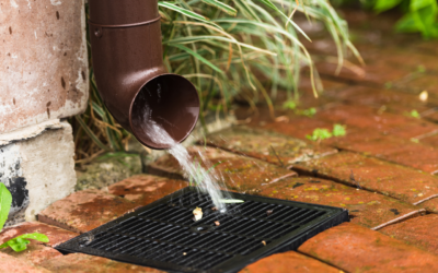 Why You Should Install A Catch Basin In Herndon, VA