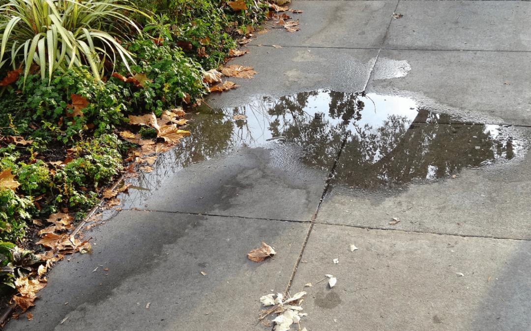 How To Fix Pooling Water On Sidewalk