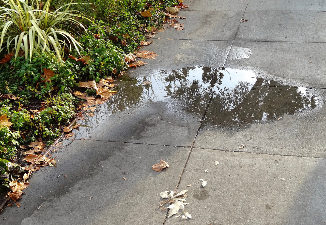 How To Fix Pooling Water On Sidewalk